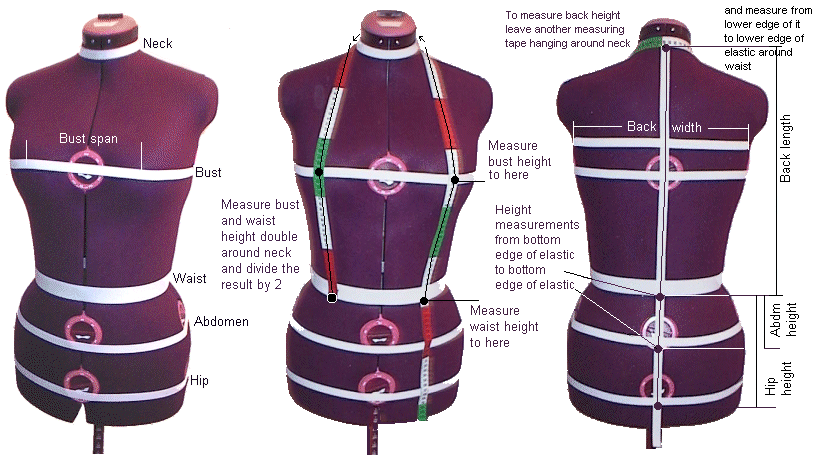 fitting for length adjustments and determining bust, waist, and hip  position – In-House Patterns