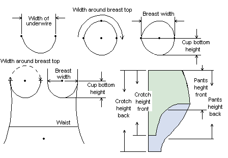 How to draft the bra CUP master pattern in YOUR OWN measurements